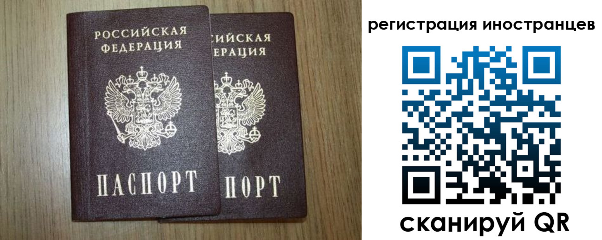 прописка для школы в Кольчугино
